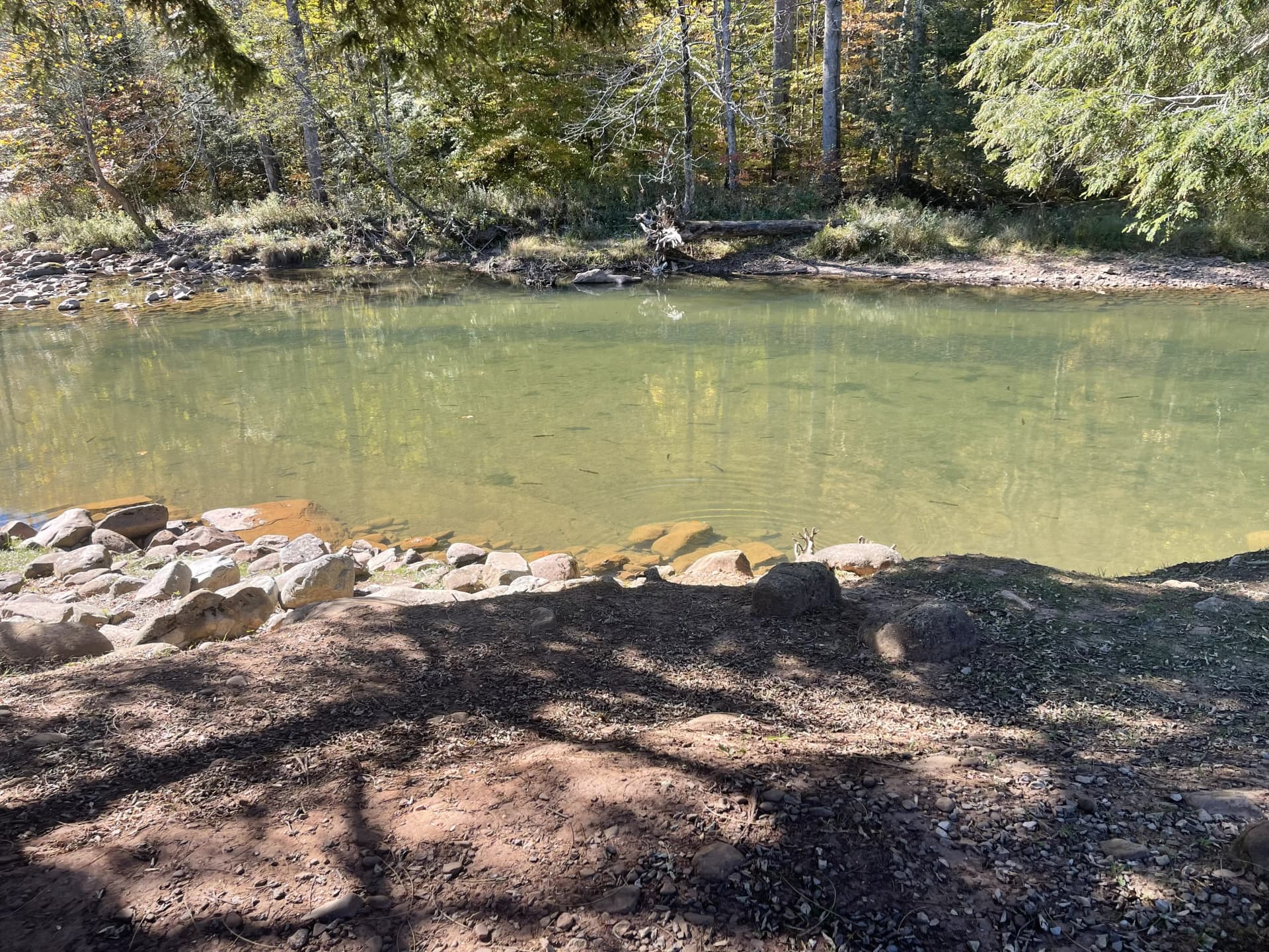 HWFW Fall 2025 Elk Springs image