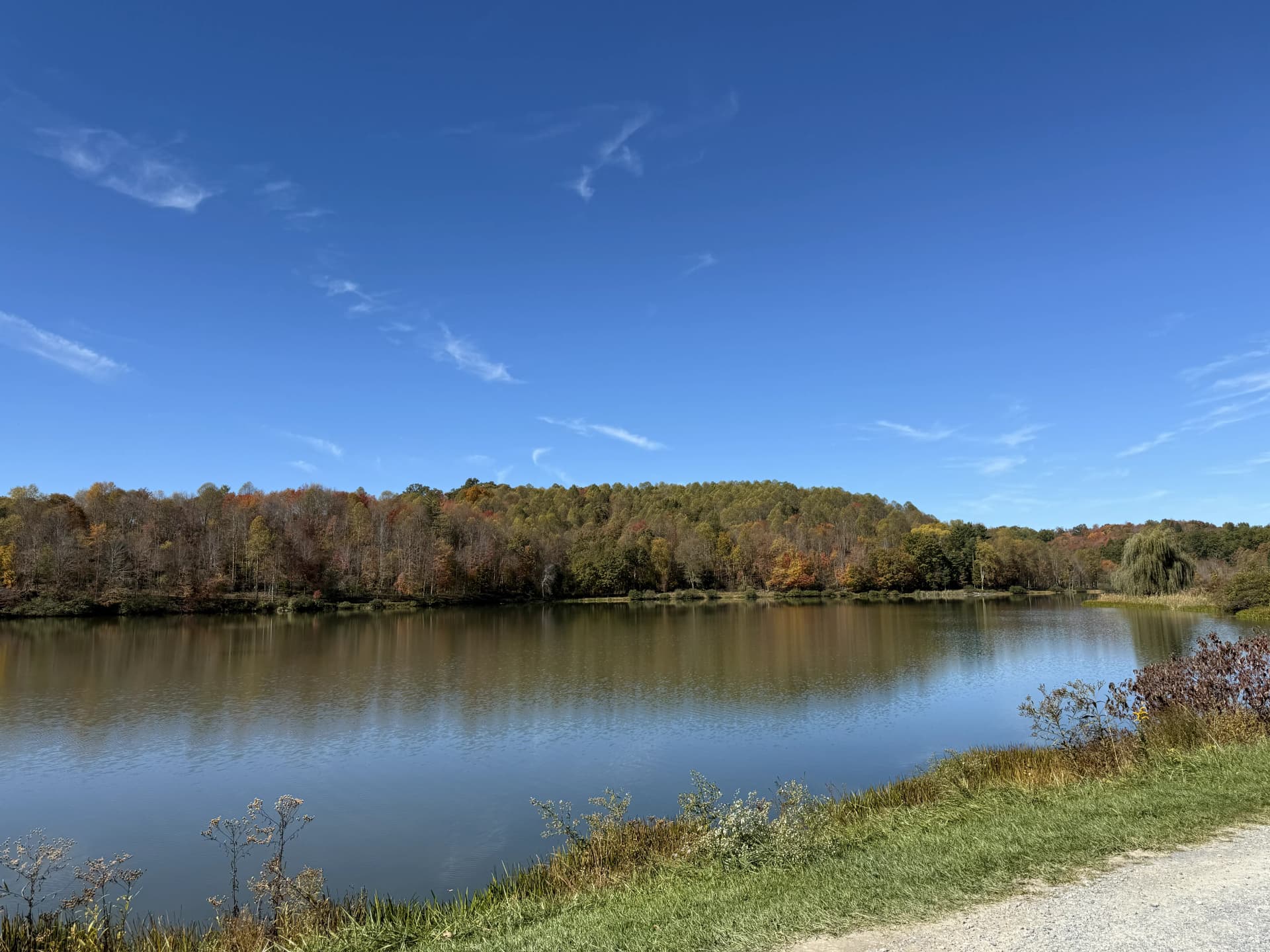 HWFW Fall 2025 Elk Springs image